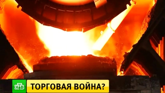 Фото: ntv.ru