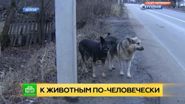  ����� ���������� �������� �������� ����������� 