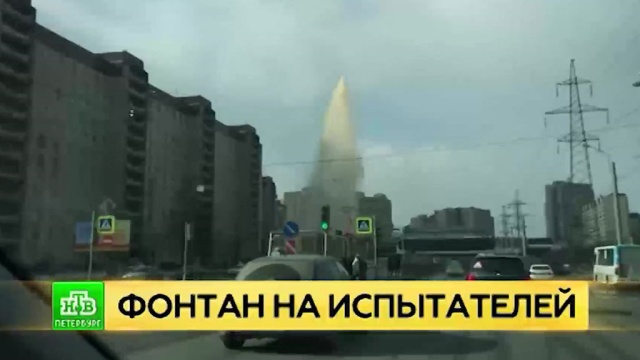 Фото: ntv.ru