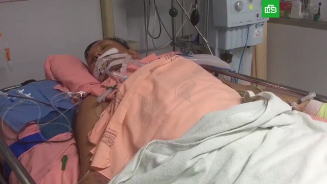 Россиянин впал в кому после укуса комара в Таиланде