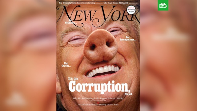    , :       New York Magazine