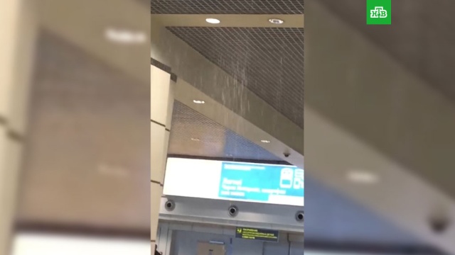  �������� ����� ������� ������� ��������� ���������� ����� 