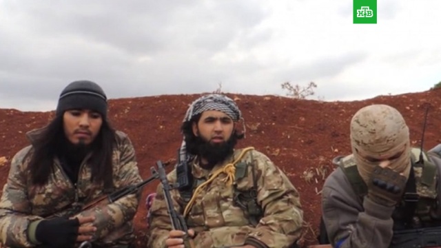  ������ ���������������� ����������� ���������� ����� ����� ���������� 