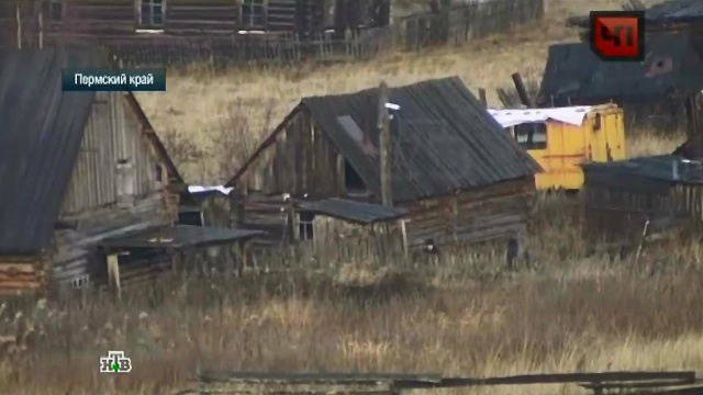 Купить Тайгу В Пермском Крае