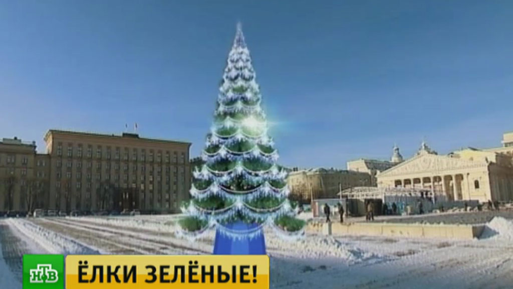 Покупка Новогодней Елки