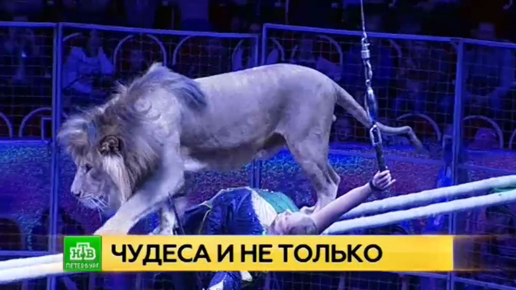 Цирк На Фонтанке Новогоднее Представление Цирк На Фонтанке Новогоднее Представление