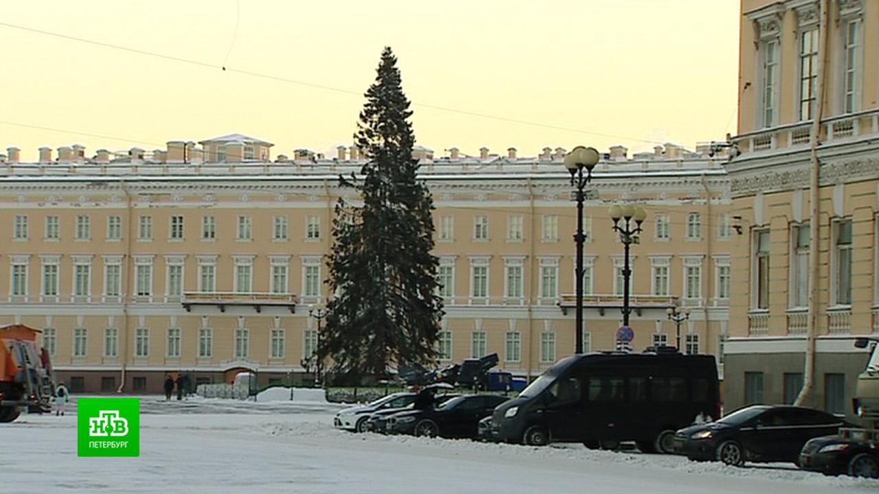 Новогодние Нтв Новогодние Нтв